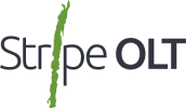 Stripe OLT